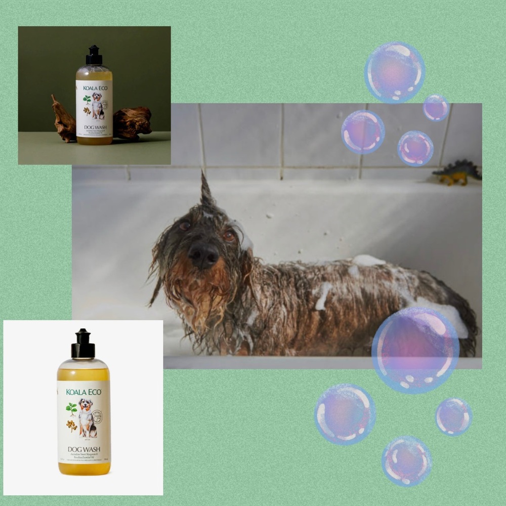 Dog Wash - Soothing Yellow Formula